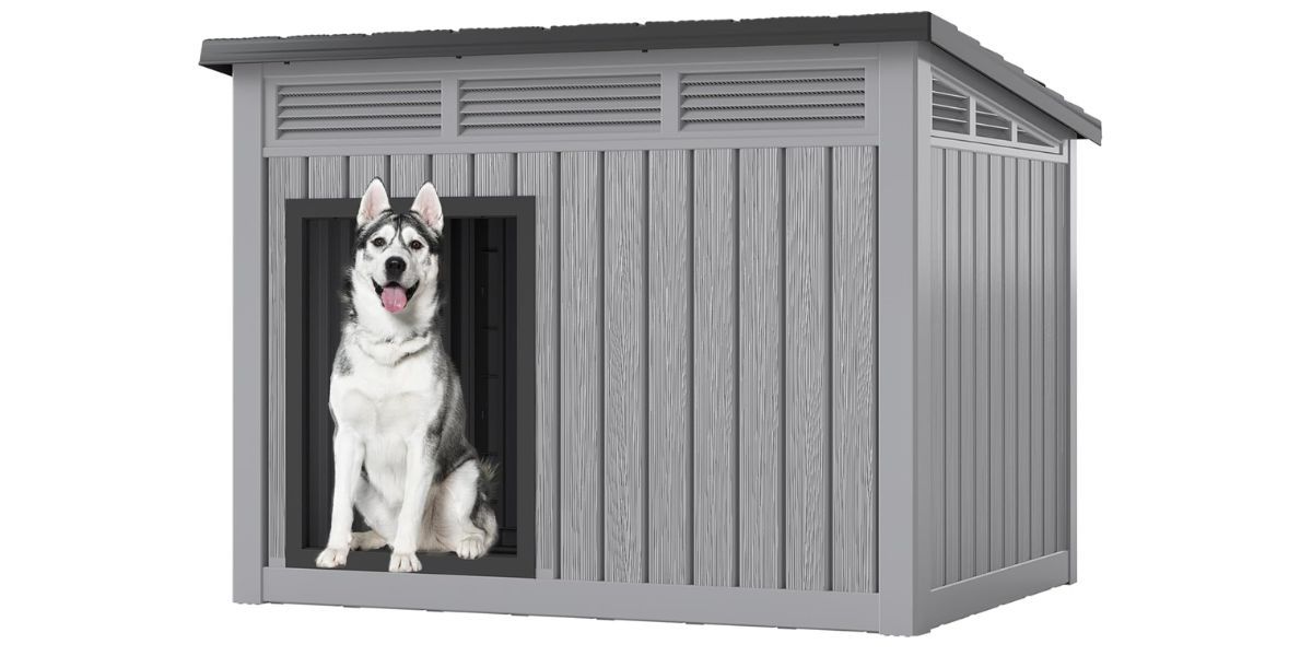 Fancyango Large Dog House
