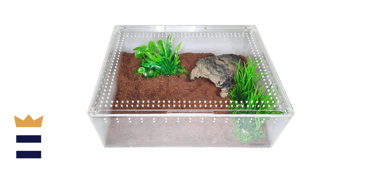 HerpCult Acrylic Insect &amp; Reptile Terrarium