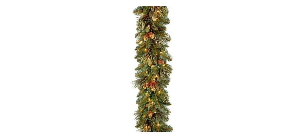 National Tree Company Carolina Pine Garland 