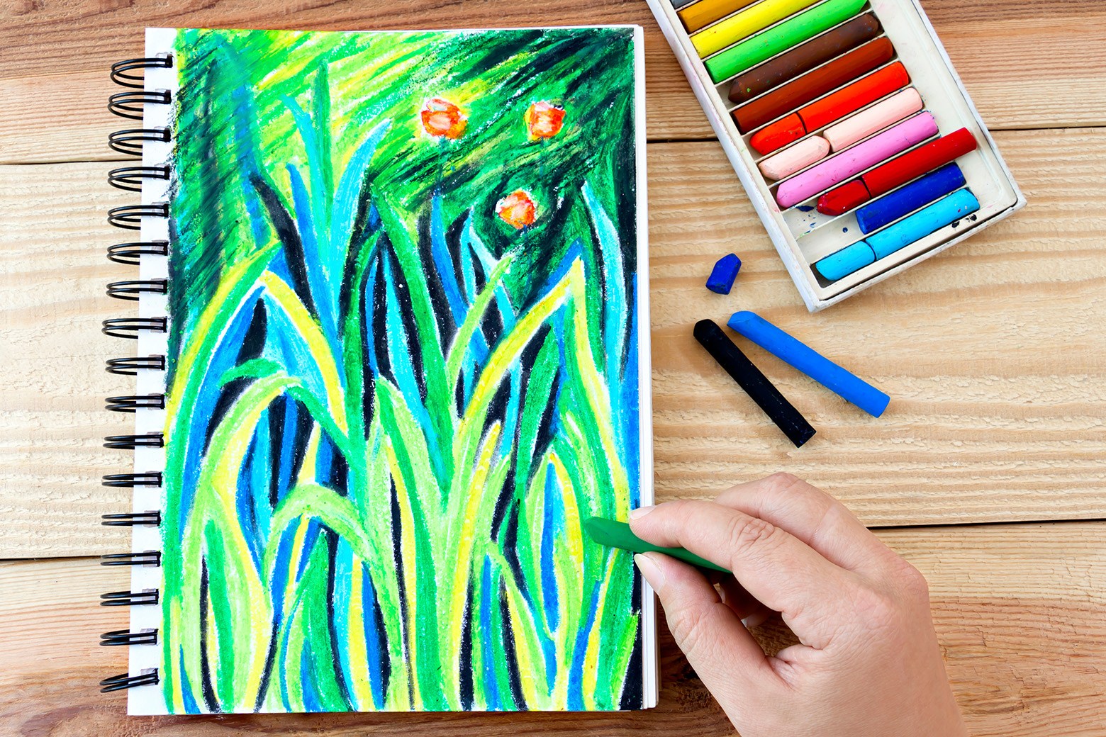 Best oil pastels Drawing for beginners: Easy oil pastel Forest Scenery  Drawing - YouTube