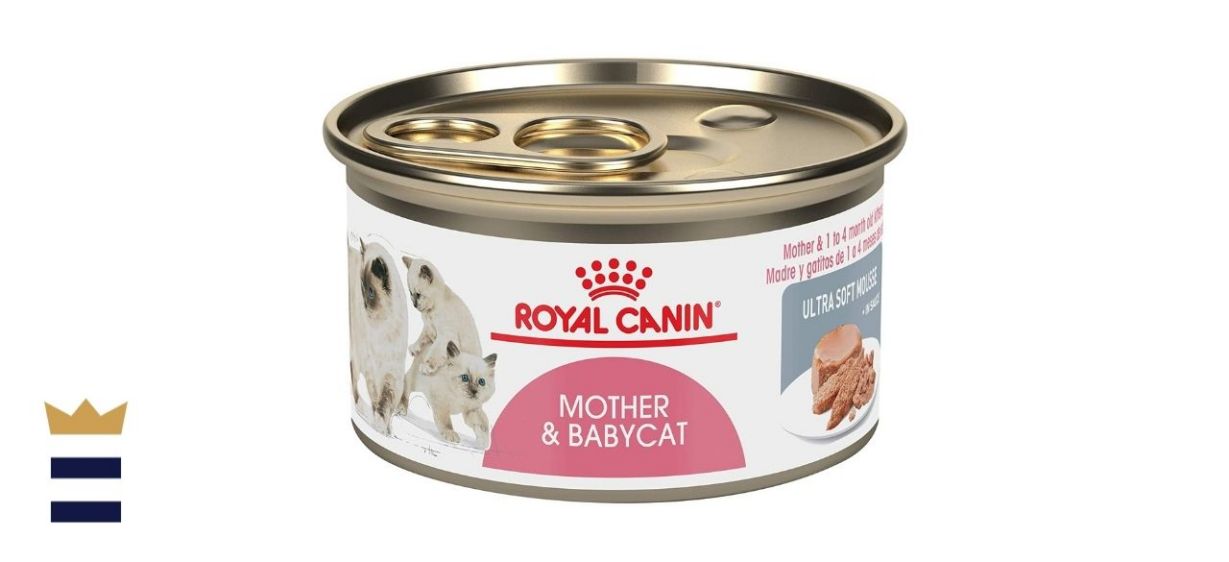 Royal Canin Feline Care Nutrition Digest Sensitive Loaf in Sauce Canned Cat Food