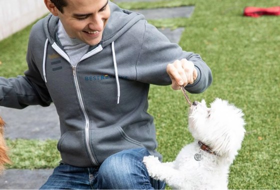 Save yourself a trip to the pet store, get the best items for your dog shipped to you for free