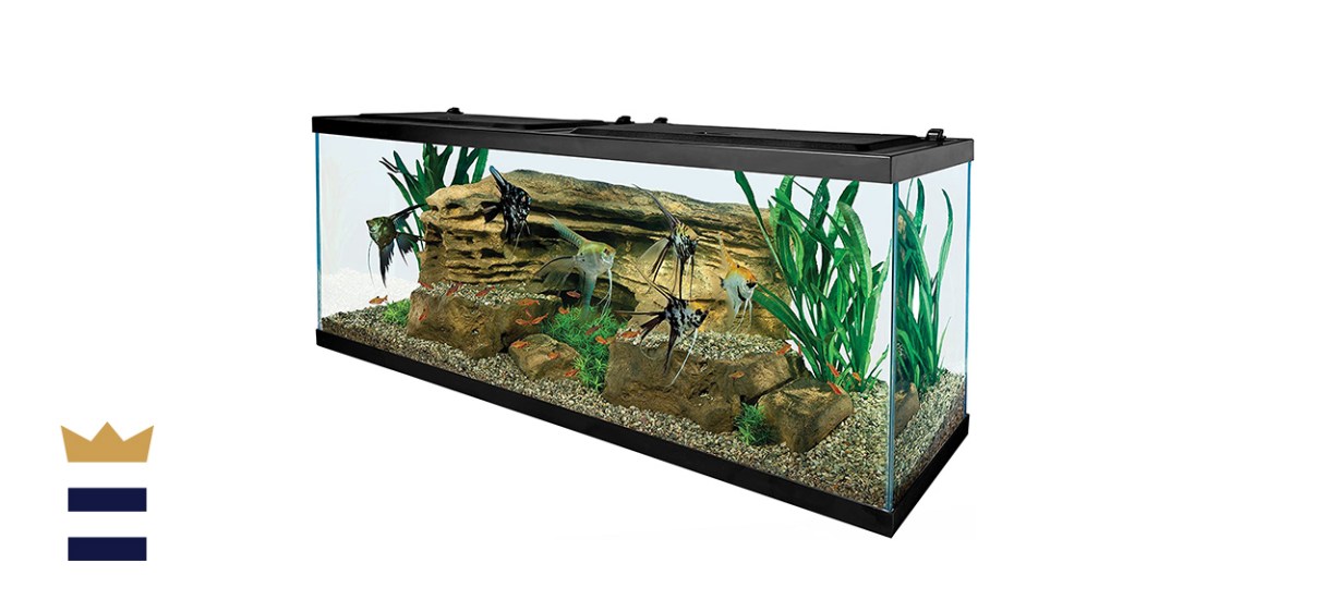 Tetra 55 Gallon Aquarium Kit