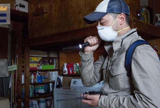 Get these tornado essentials now