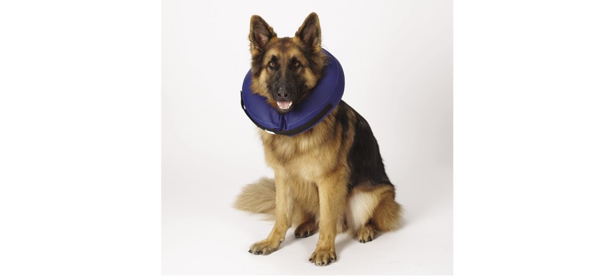 Total Pet Health Inflatable Dog Collar