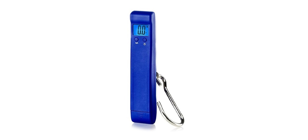 Digital Luggage Scale, Stainless Steel, Fosmon, Luxebell