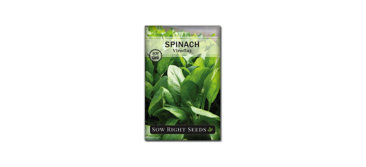 Sow Right Seeds - Viroflay Spinach Seed for Planting