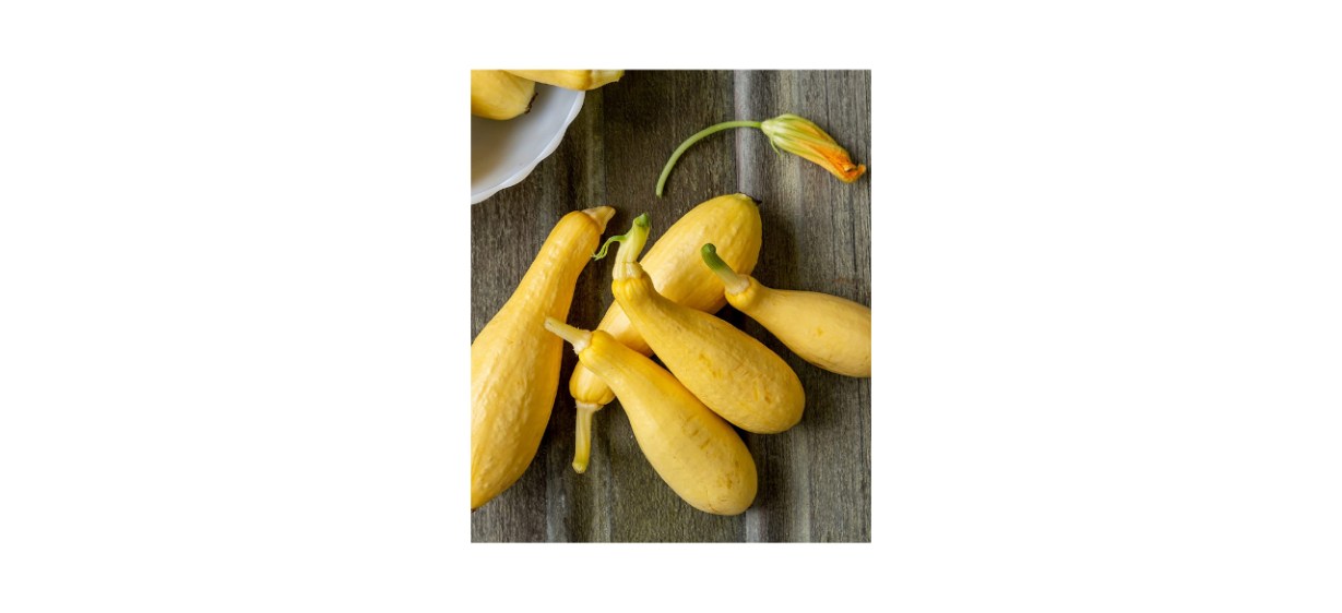 Bonnie Plants Straight-Neck Squash