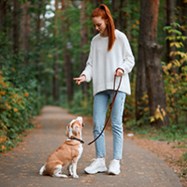 dog training book2