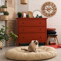 orthopedic cat beds 2