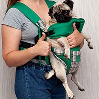pet sling carriers