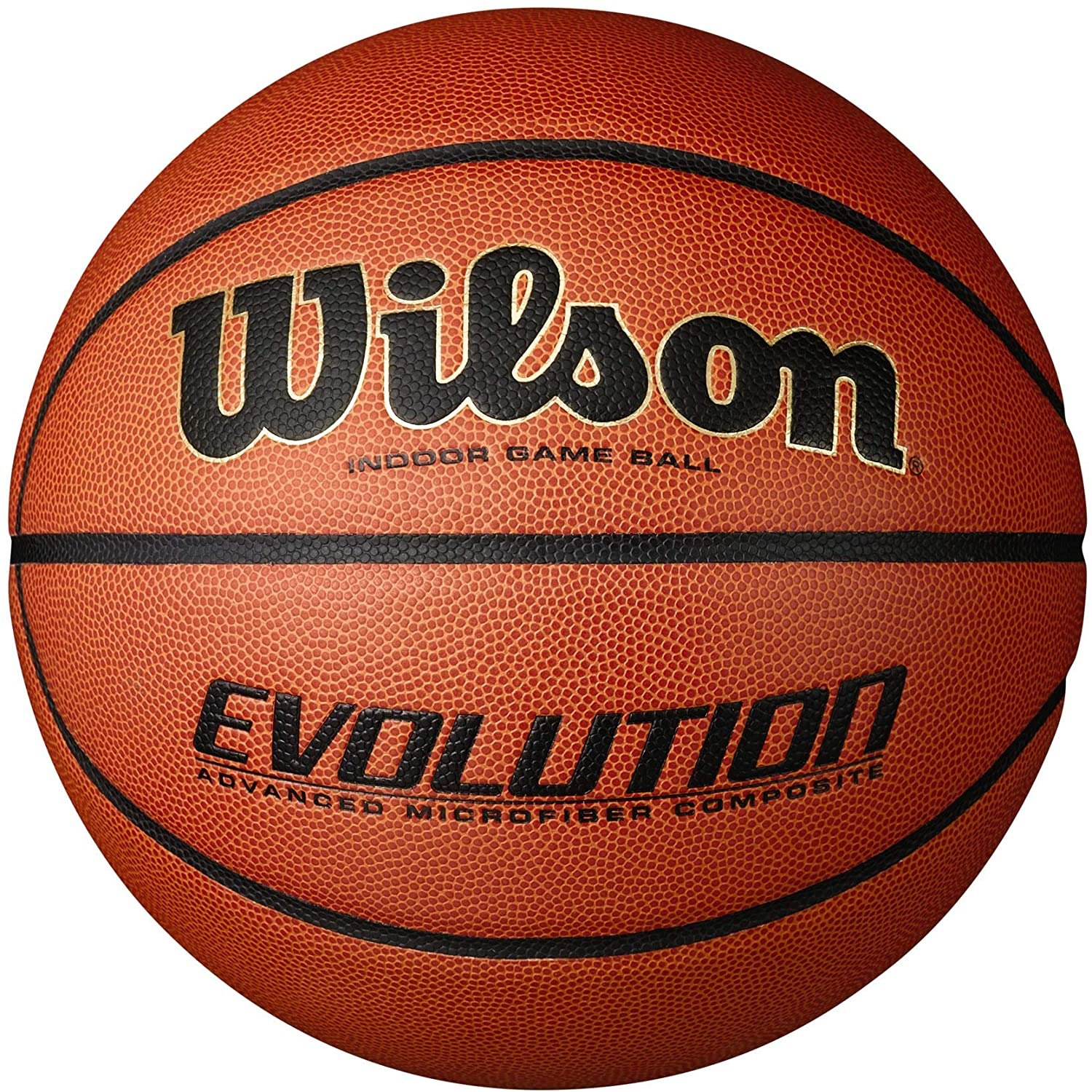 Wilson Evolution Indoor Basketball