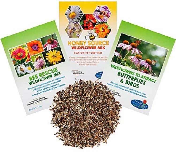 Beauty Beyond Belief Bulk Wildflower Seeds and Ebooks