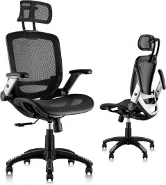 GABRYLLY Ergonomic Mesh Office Chair