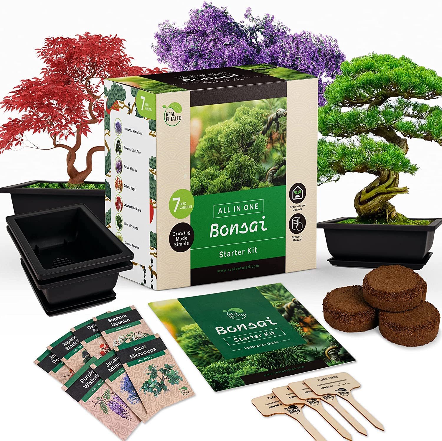 REALPETALED Bonsai Starter Kit
