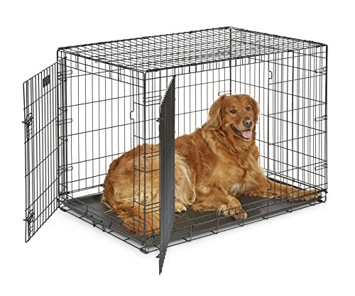 MidWest Homes for Pets iCrate Folding Metal Dog Crate