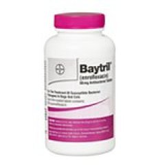 Baytril (Enrofloxacin) Tablets for Dogs and Cats