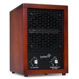 Best Air Ionizers 
