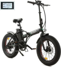 Ecotric