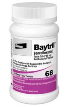 Baytril (Enrofloxacin) Tablets for Dogs & Cats