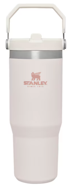 Stanley 30-fl oz Stainless Steel Insulated Water Bottle