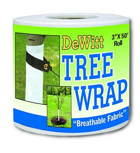 DeWitt Tree Wrap, White