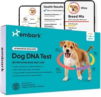 Embark Dog DNA Test Kit