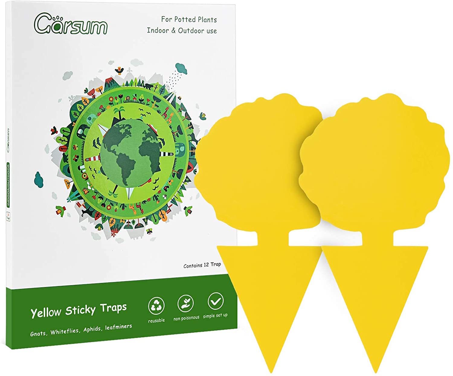Garsum Fruit Fly Trap