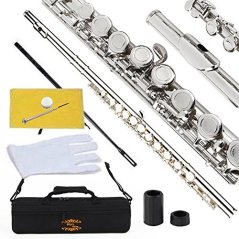 Glory Closed Hole C Flute With Case, Tuning Rod and Cloth, Joint Grease and Gloves