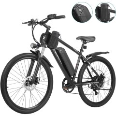 Hoverfly  Ourea Electric Bike