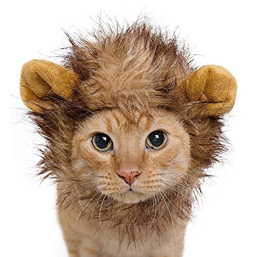 Pet Krewe Lion Mane Costume