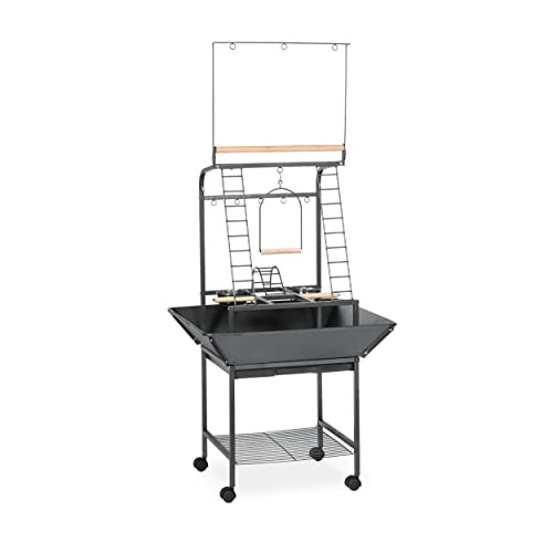 Prevue Pet Products Small Parrot Play Stand