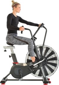 Schwinn Airdyne 7 Bike