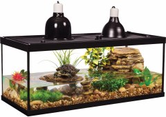 Tetrafauna Aquatic Turtle Deluxe Kit